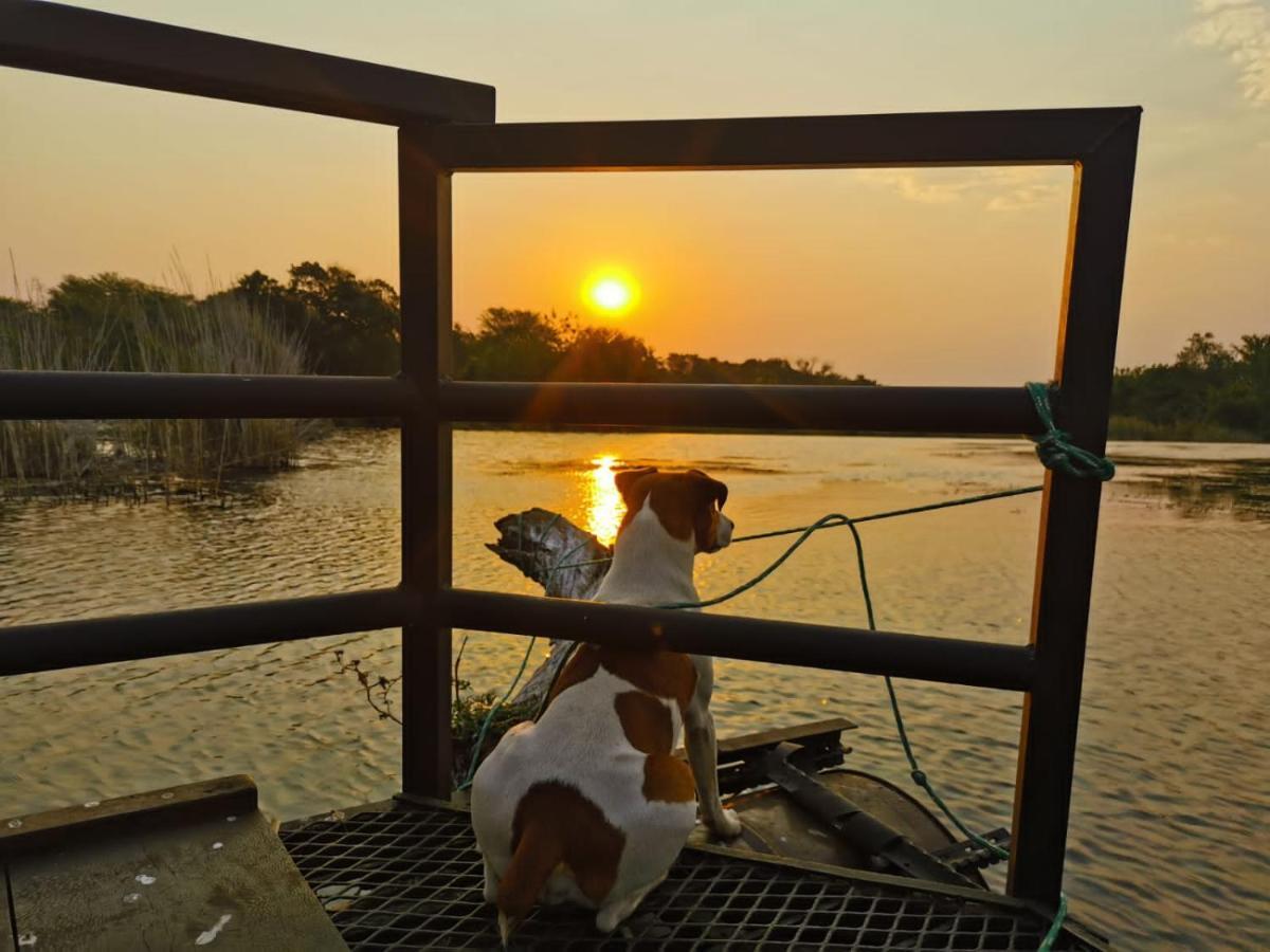Hippo Retreat & Tiger Fishing Komatipoort Exteriör bild